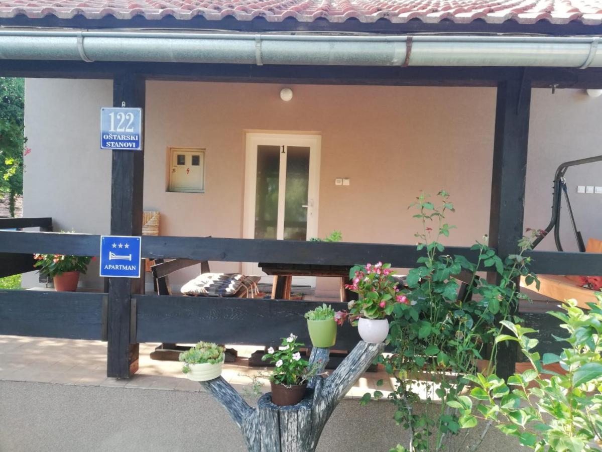 Apartman Adam Раковица Экстерьер фото