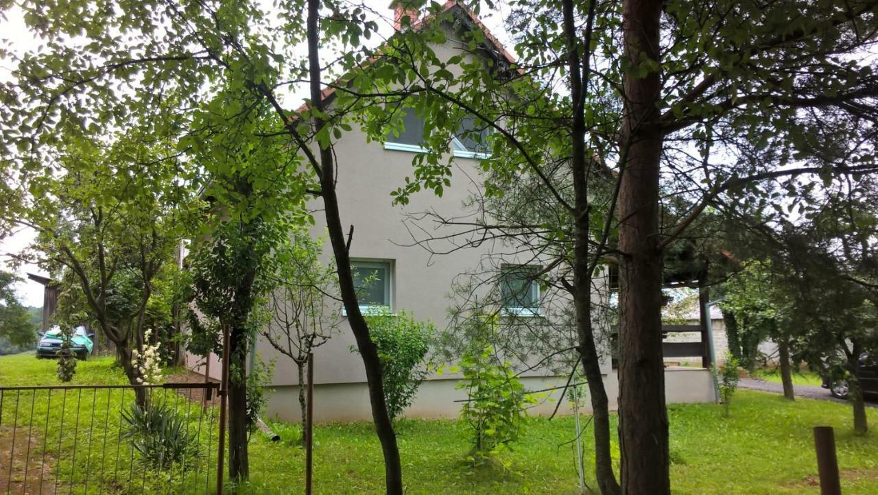 Apartman Adam Раковица Экстерьер фото